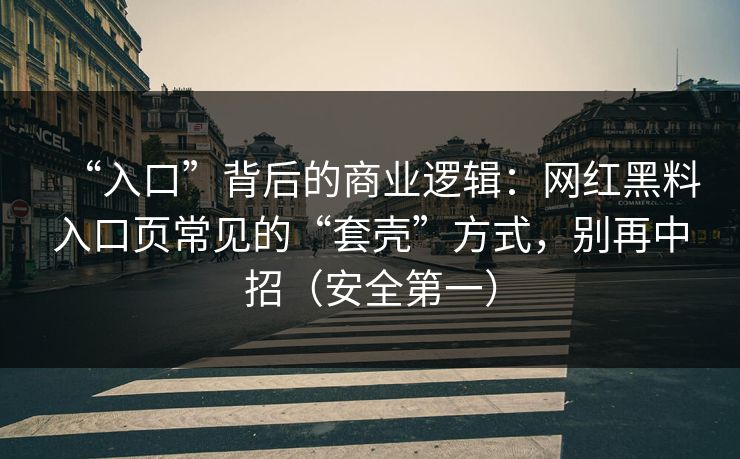 “入口”背后的商业逻辑：网红黑料入口页常见的“套壳”方式，别再中招（安全第一）