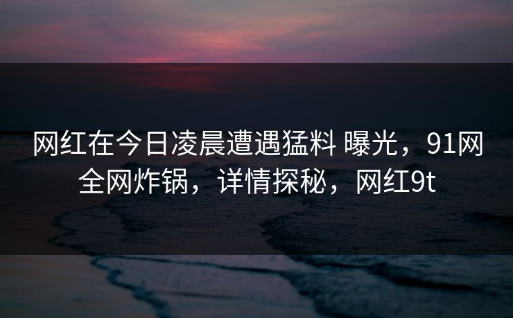 网红在今日凌晨遭遇猛料 曝光,91网全网炸锅,详情探秘,网红9t