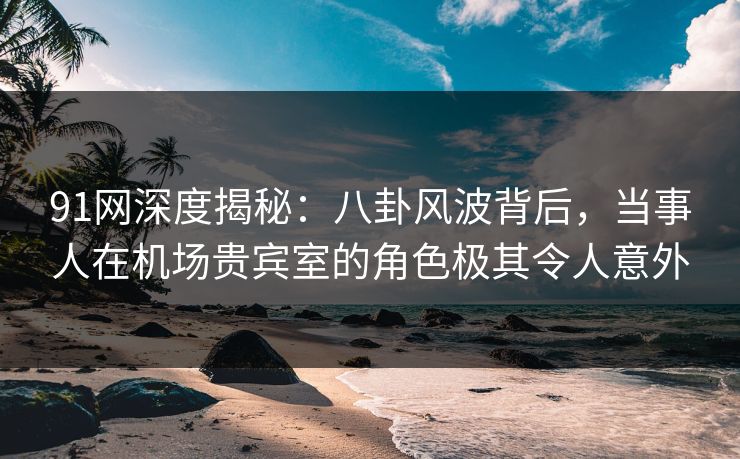 91网深度揭秘：八卦风波背后，当事人在机场贵宾室的角色极其令人意外
