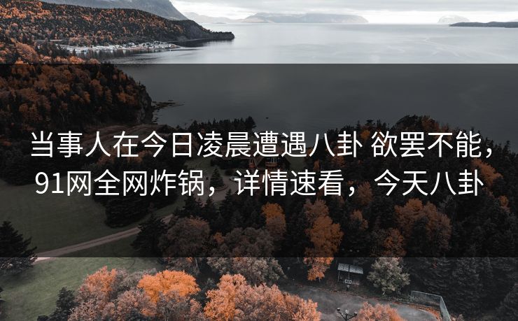 当事人在今日凌晨遭遇八卦 欲罢不能,91网全网炸锅,详情速看,今天八卦
