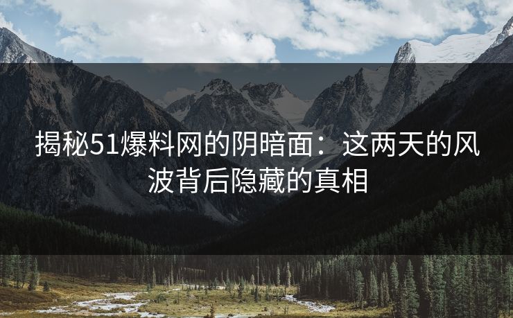 揭秘51爆料网的阴暗面:这两天的风波背后隐藏的真相