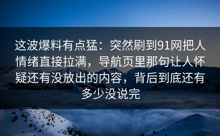 这波爆料有点猛:突然刷到91网把人情绪直接拉满,导航页里那句让人怀疑还有没放出的内容,背后到底还有多少没说完