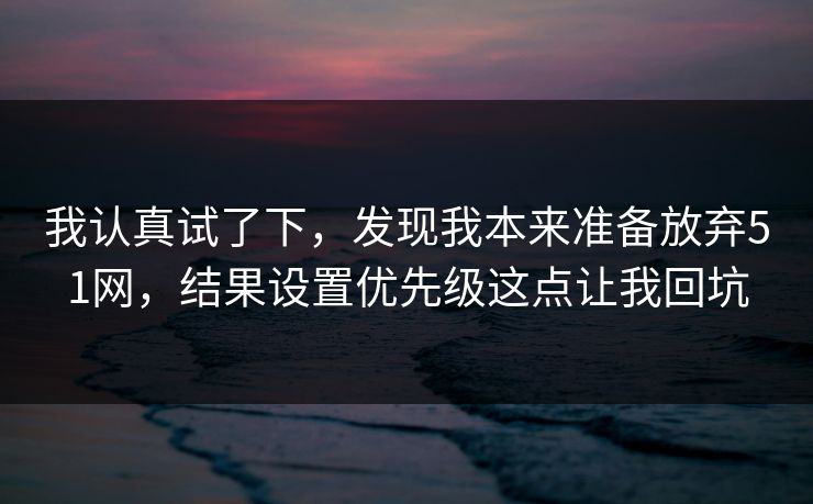 我认真试了下，发现我本来准备放弃51网，结果设置优先级这点让我回坑